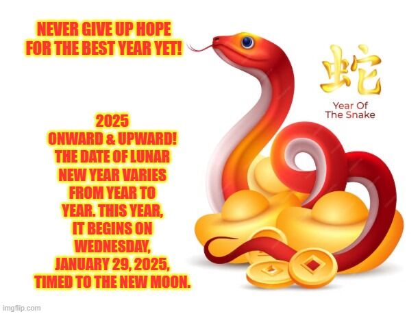 YEAR OF THE SNAKE 2025 by OneDesignForMe