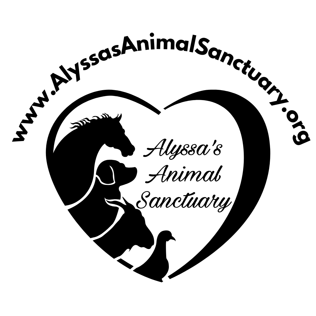 Alyssas Animal Sanctuary Calendar Shop