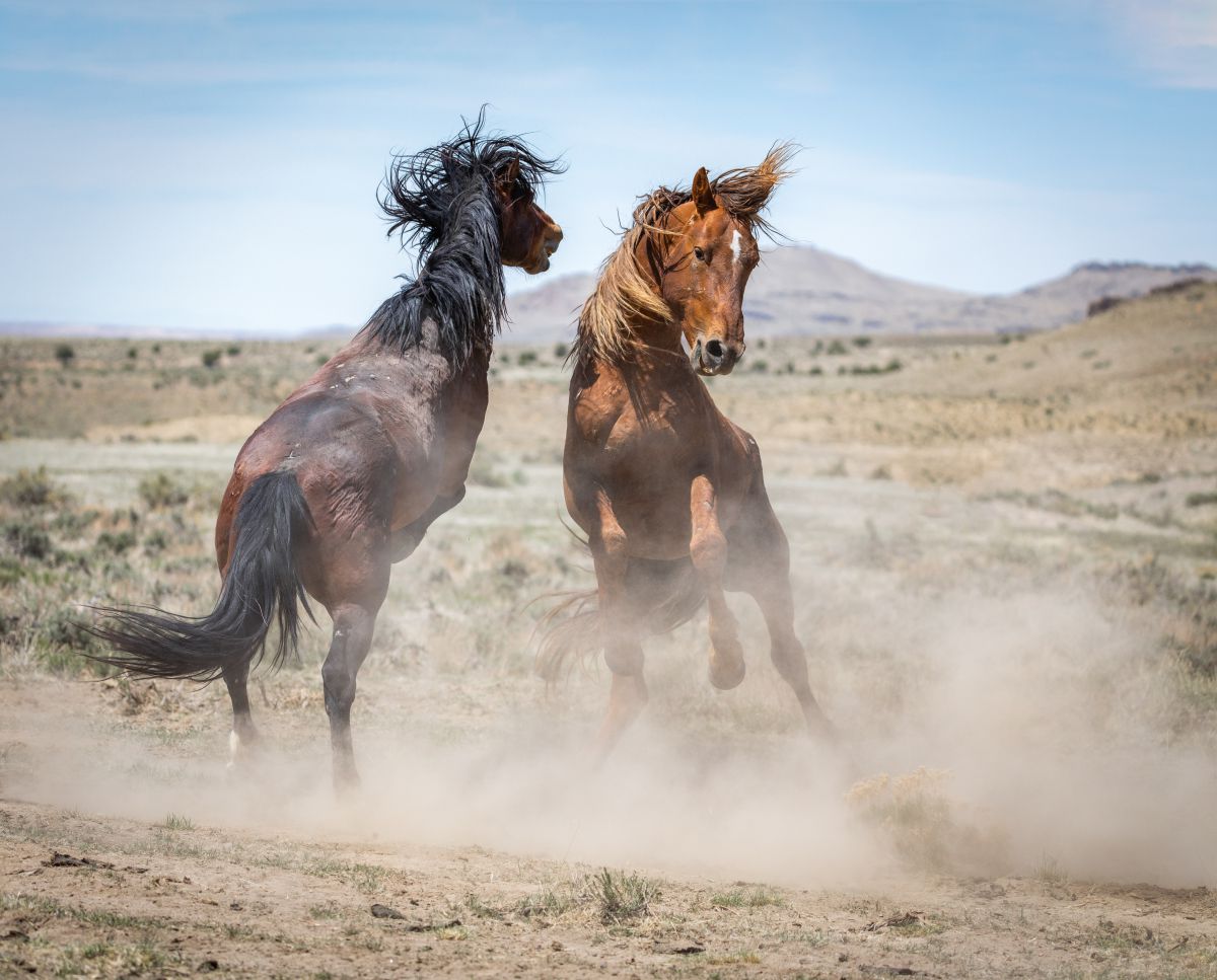 Darlene Smith Photography