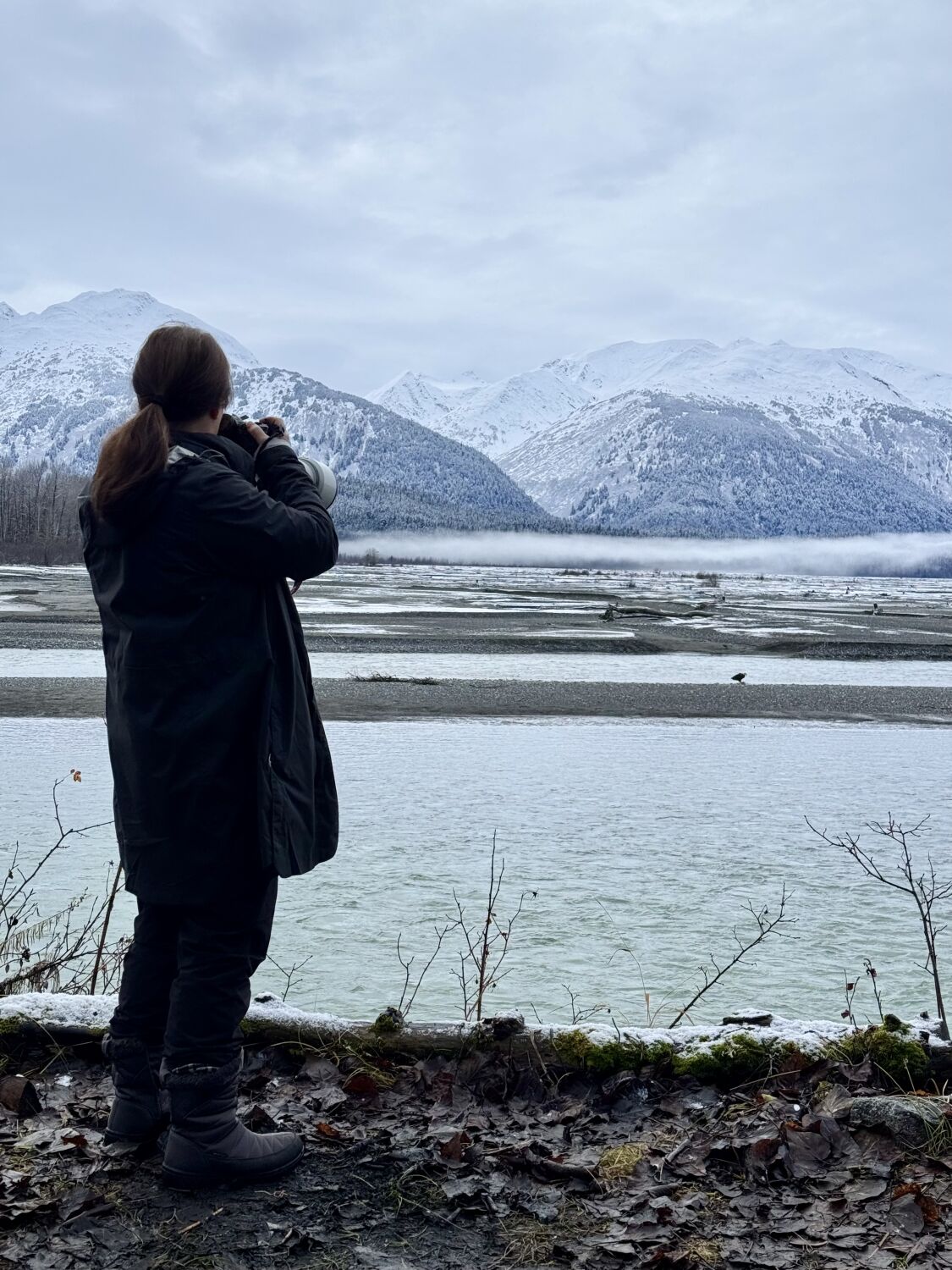 Jann Nichols Photography