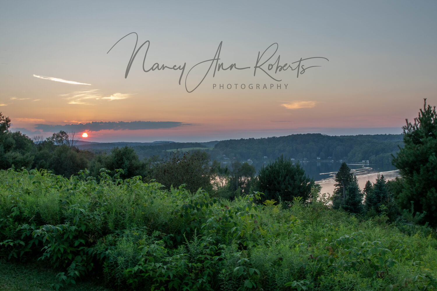 Postcards From Nancy Ann Roberts Photogr
