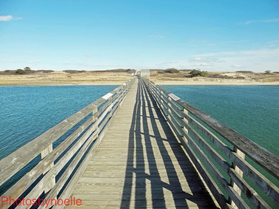 Photos By Noelle 2026 calendars