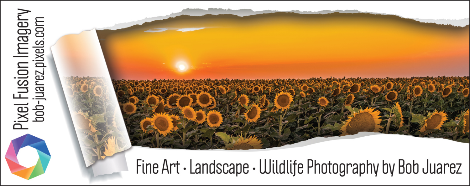 PixelFusionImagery