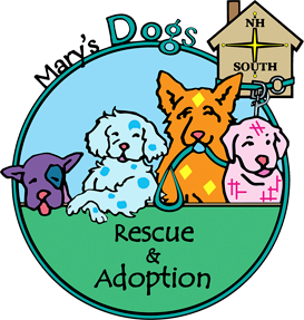 Marys Dogs Rescue and Adoption