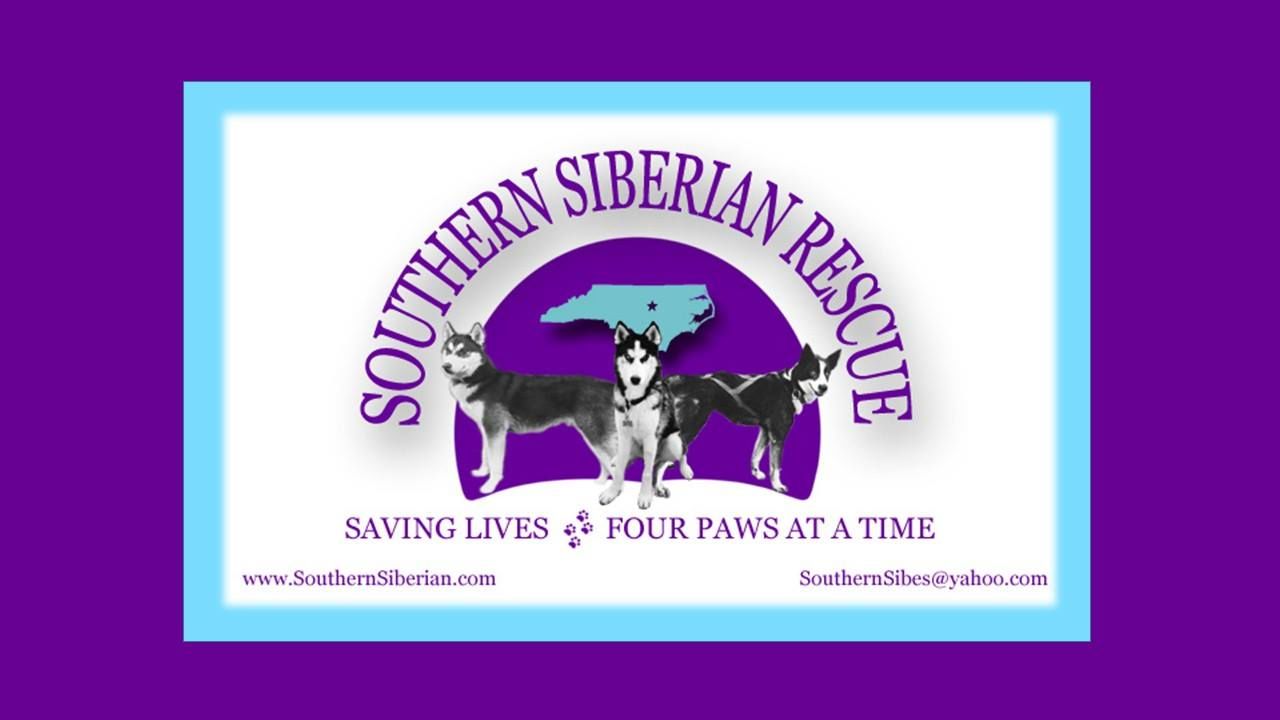 Southern Siberian Rescue Calendars
