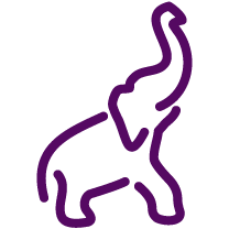 Team Exuberant Elephant - Fighting ALZ