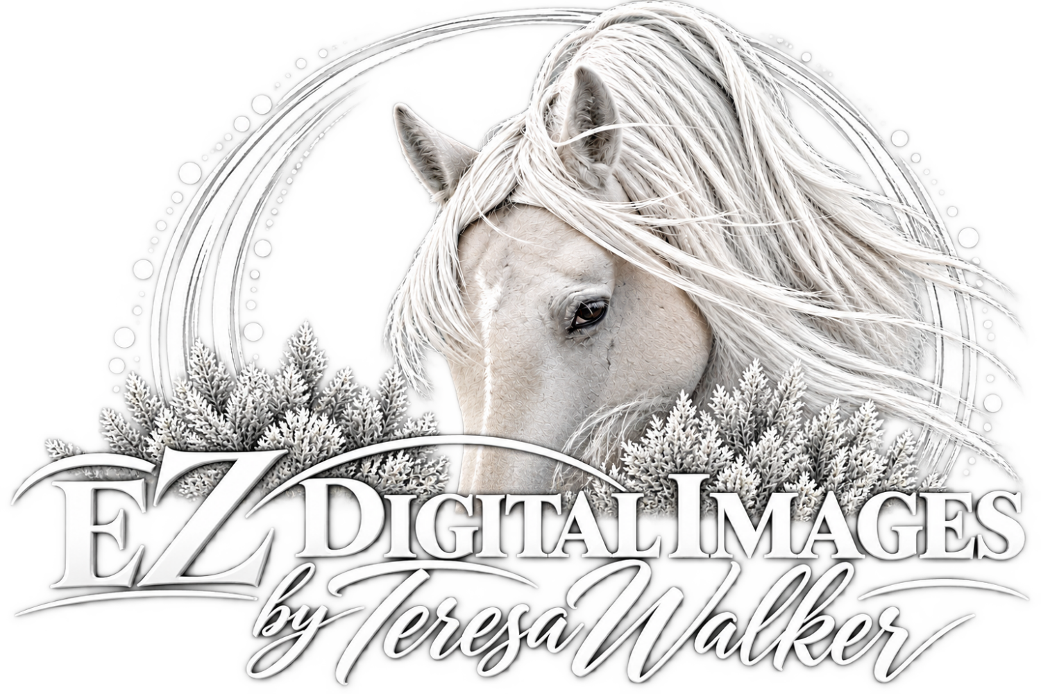 EZ Digital Images by Teresa Walker