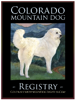 Colorado Mountain Dogs