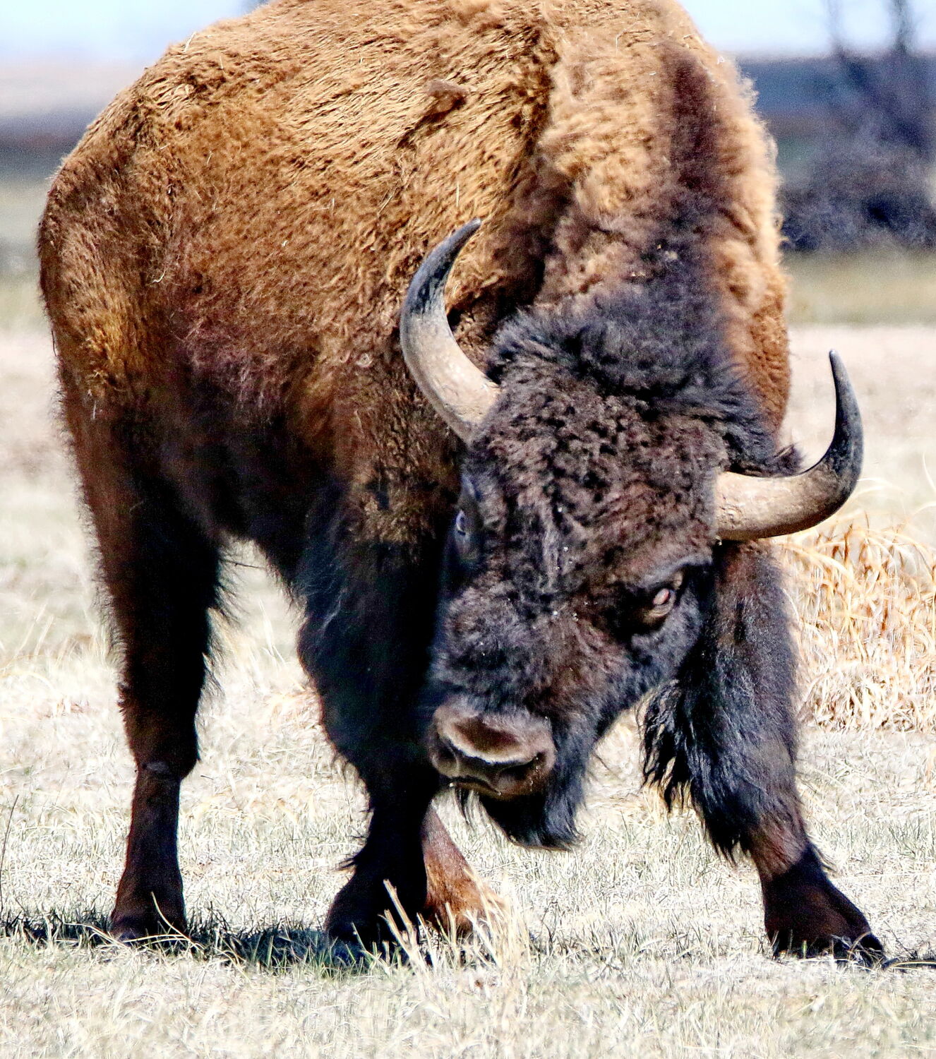 Wm H Hutchinson Photography